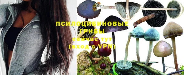 ECSTASY Михайловка