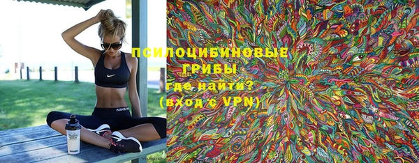 дживик Болотное